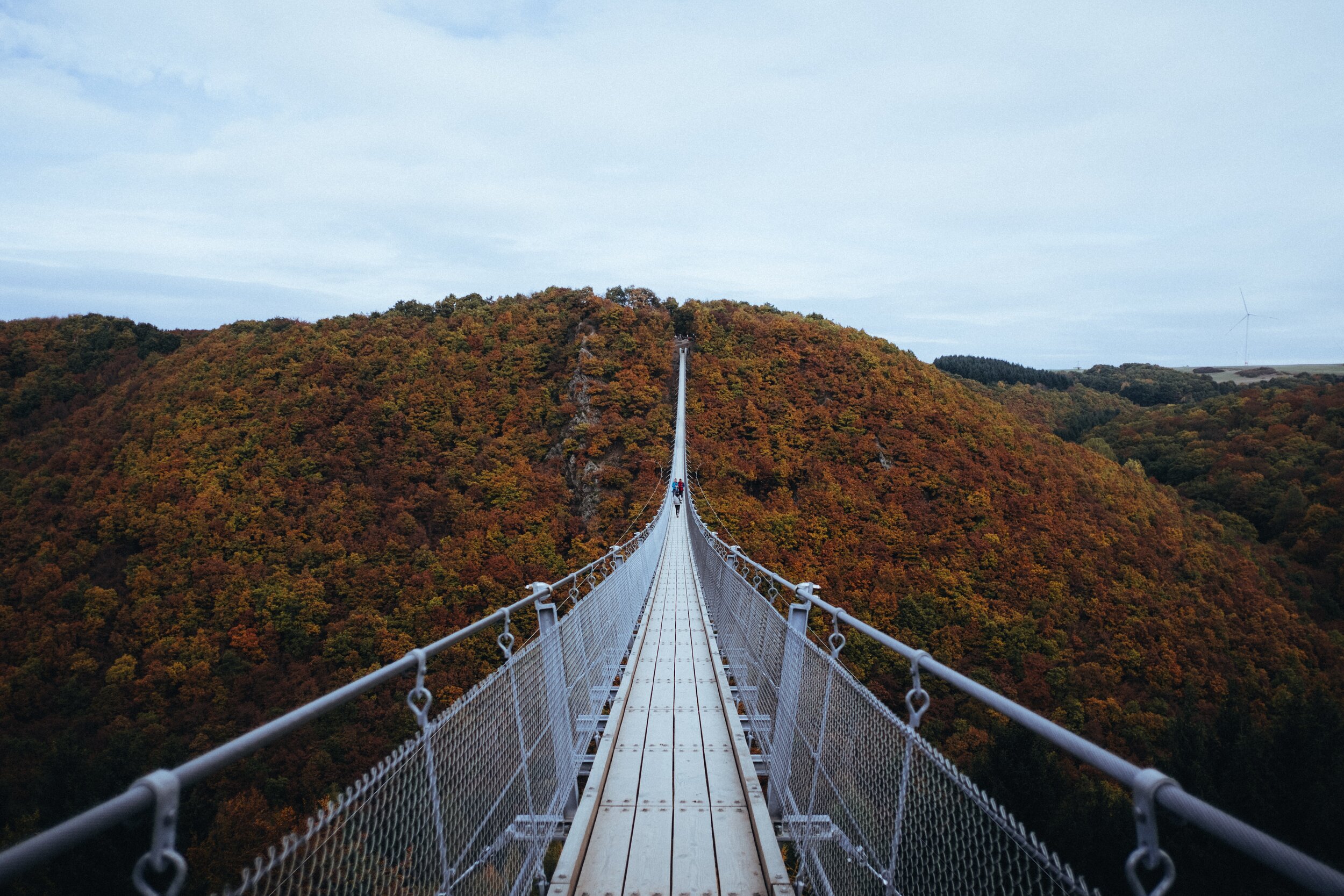 lukas-becker-OjVIrvBKWP8-unsplash.jpg